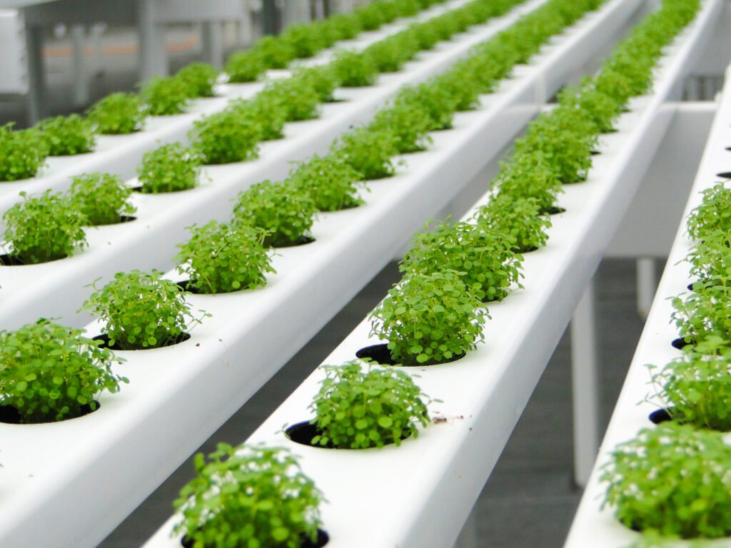 Un sistema hidropónico es el conjunto de componentes y técnicas diseñados para cultivar plantas sin utilizar suelo, proporcionando directamente a las raíces una solución nutritiva con agua y minerales esenciales para su desarrollo.