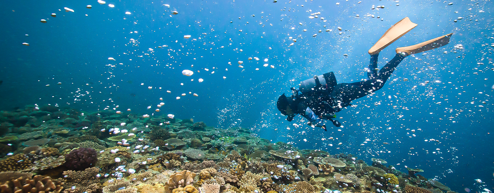 Manguera de buceo de alta presión, resistente y flexible, ideal para equipos de respiración submarina